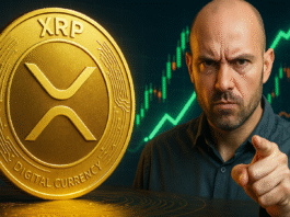 Analyst Warns