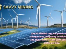 SAVVY MINING
