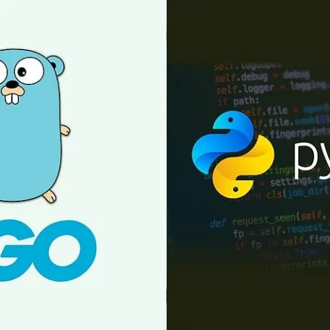 Comparing Golang and Python for AI Development in Modern Engineering