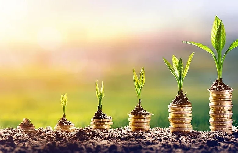 Leading Seed Investors in India
