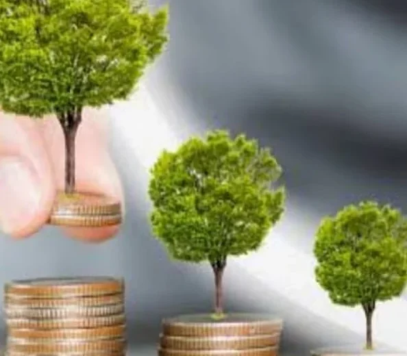 Seven Investment Types That Build Long-Term Wealth