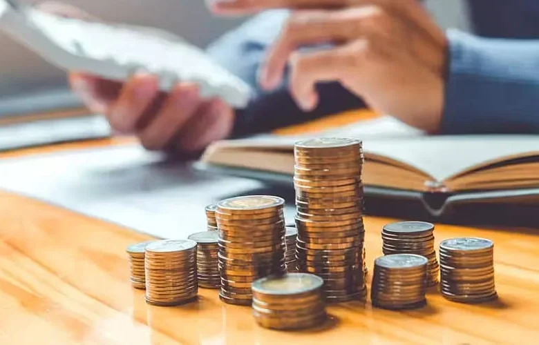 What is the Actual Stock Count in India's Top Small Cap Funds?