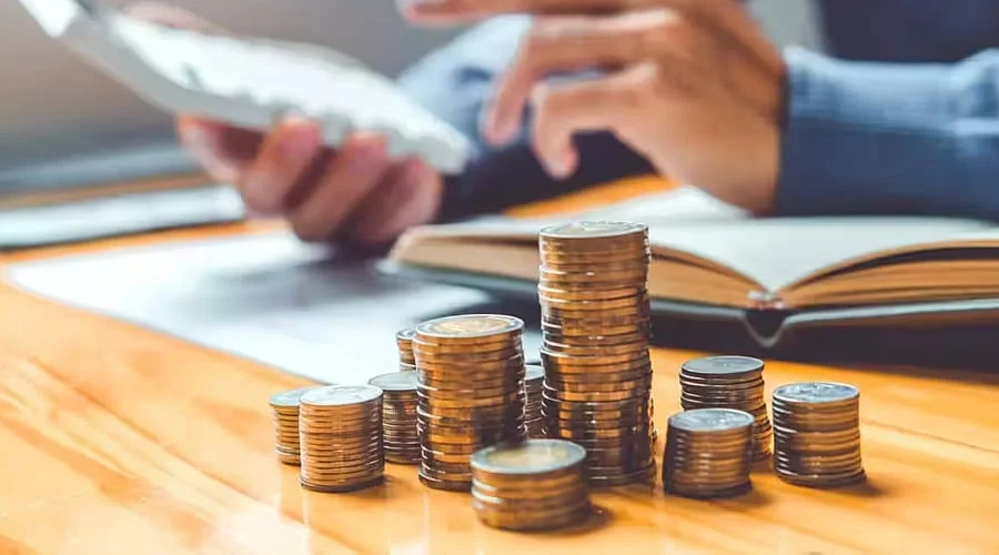 What is the Actual Stock Count in India's Top Small Cap Funds?