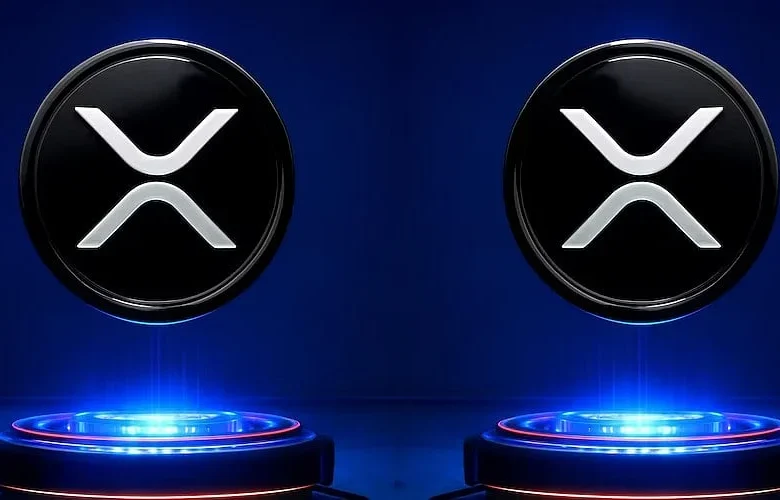2026 XRP Wealth Ranking: Top Holders Revealed