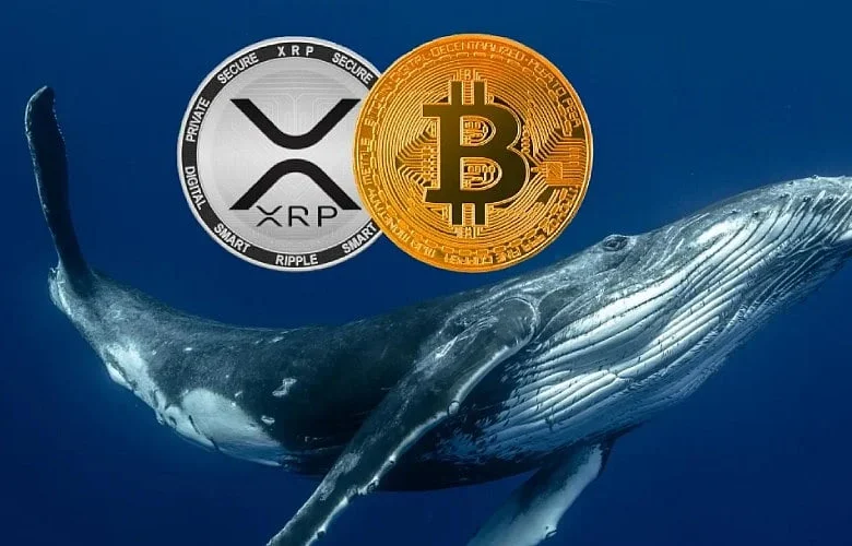 Bitcoin outflows, Kazakhstan's stablecoin, and declining XRP whales