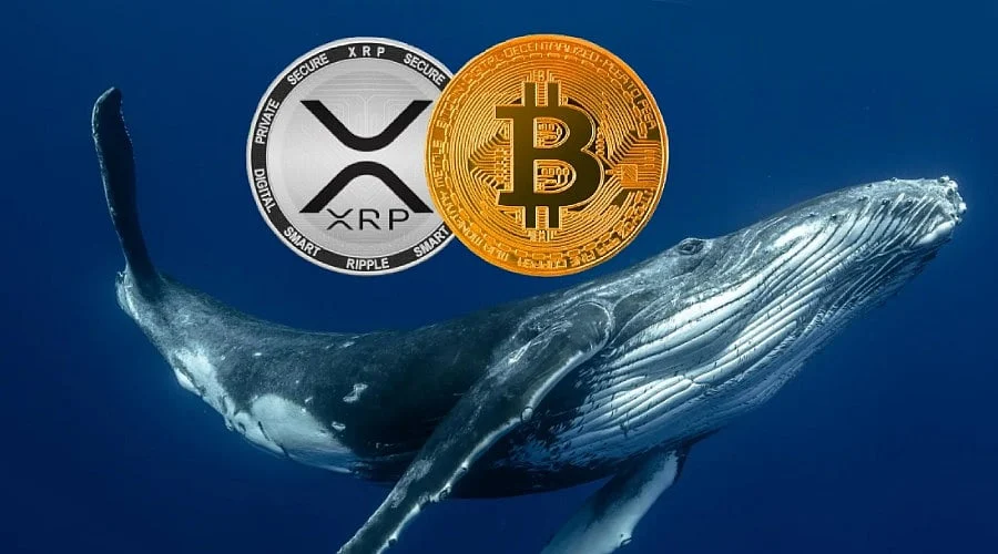 Bitcoin outflows, Kazakhstan's stablecoin, and declining XRP whales