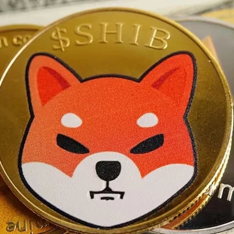 SHIB Closes Out September Up 13.5% Ahead of October