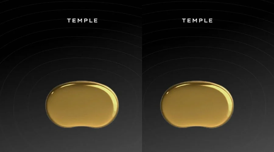 Temple Wearable: Price, Specs, Features, and Release Date