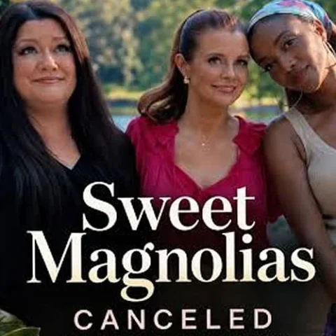The Real Reason Netflix Canceled Sweet Magnolias After Season Five
