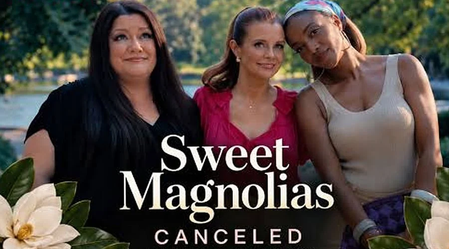 The Real Reason Netflix Canceled Sweet Magnolias After Season Five
